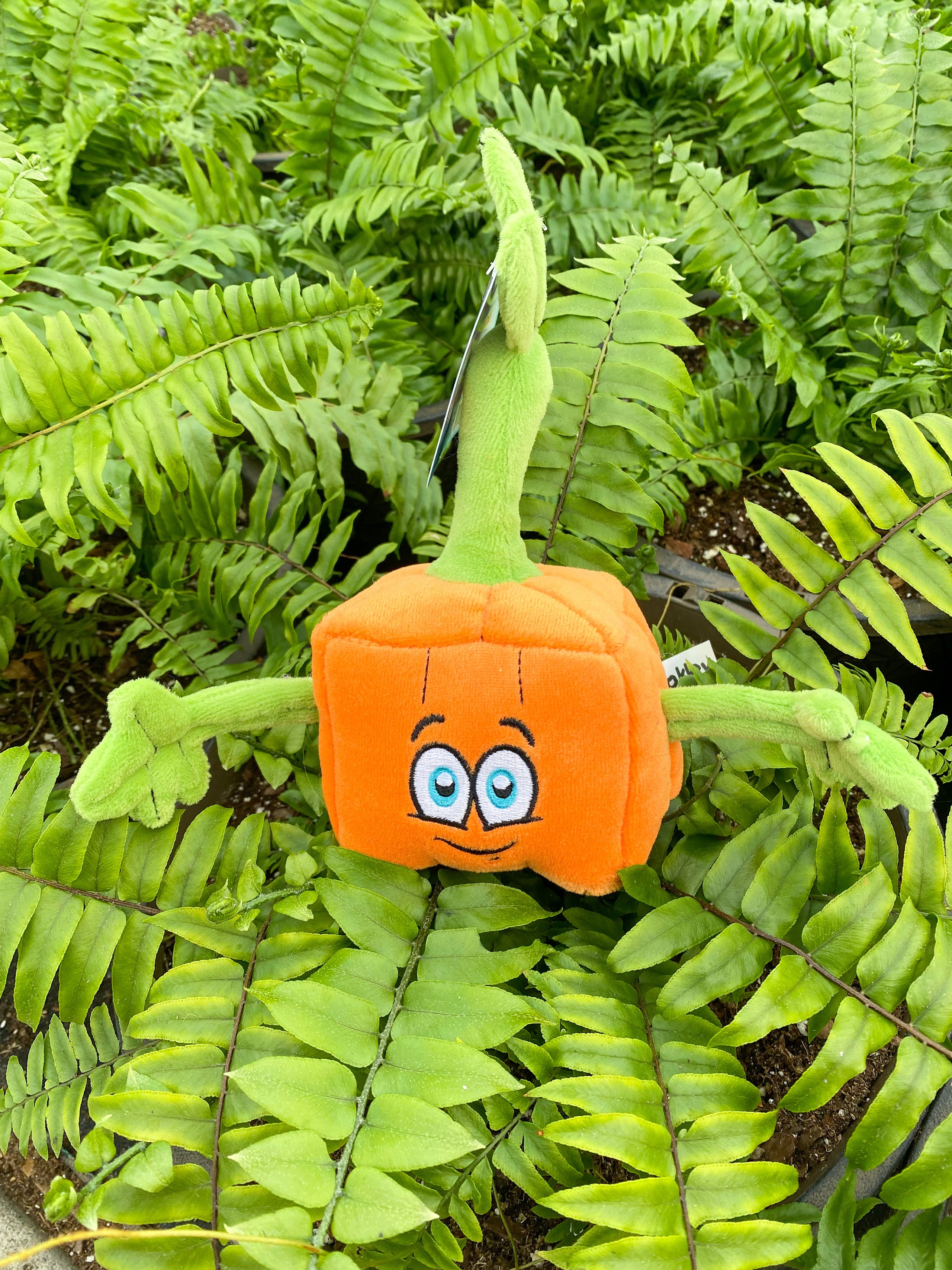 Spookley the square pumpkin stuffed animal online