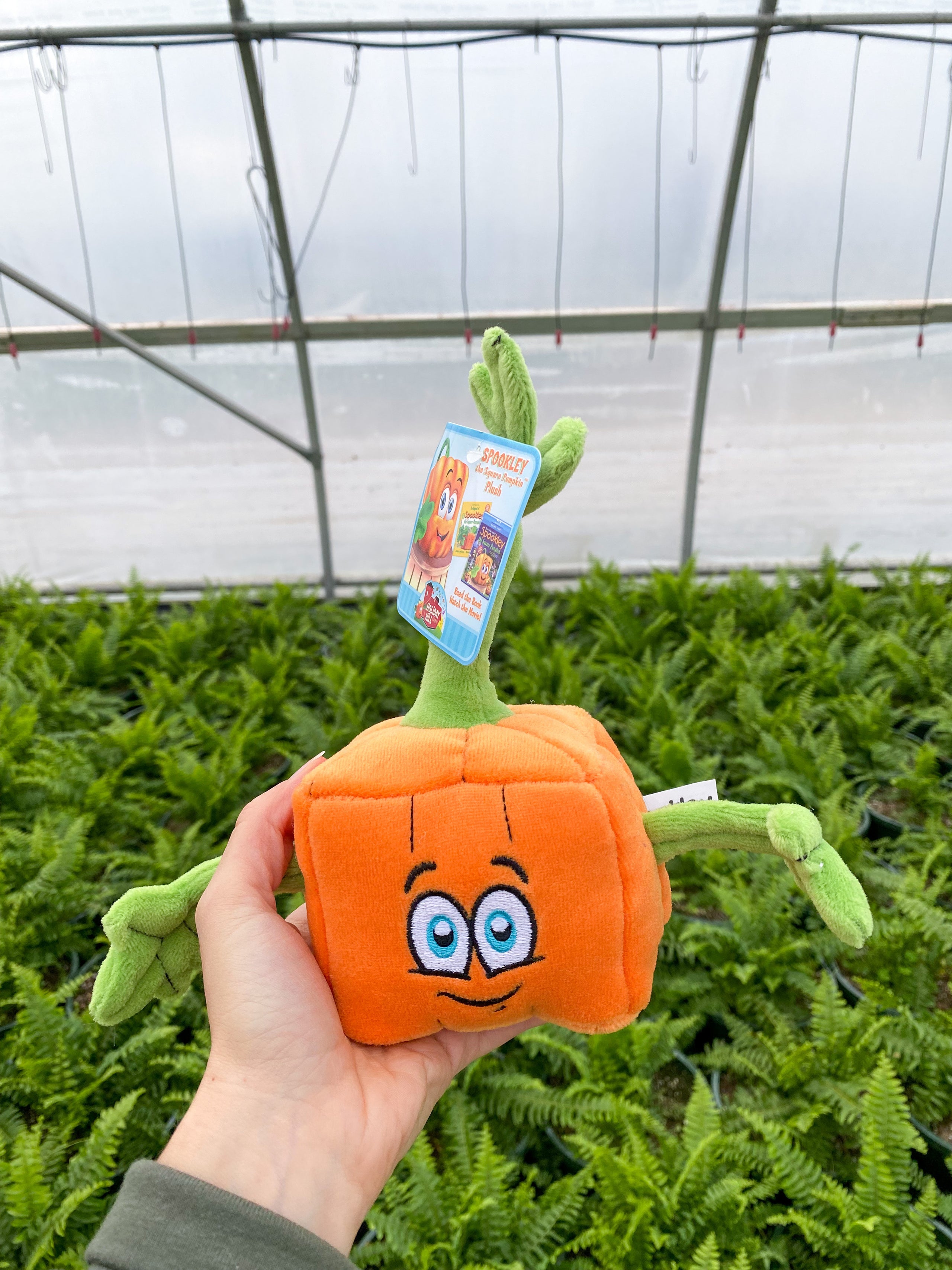 Spookley the sale square pumpkin plush