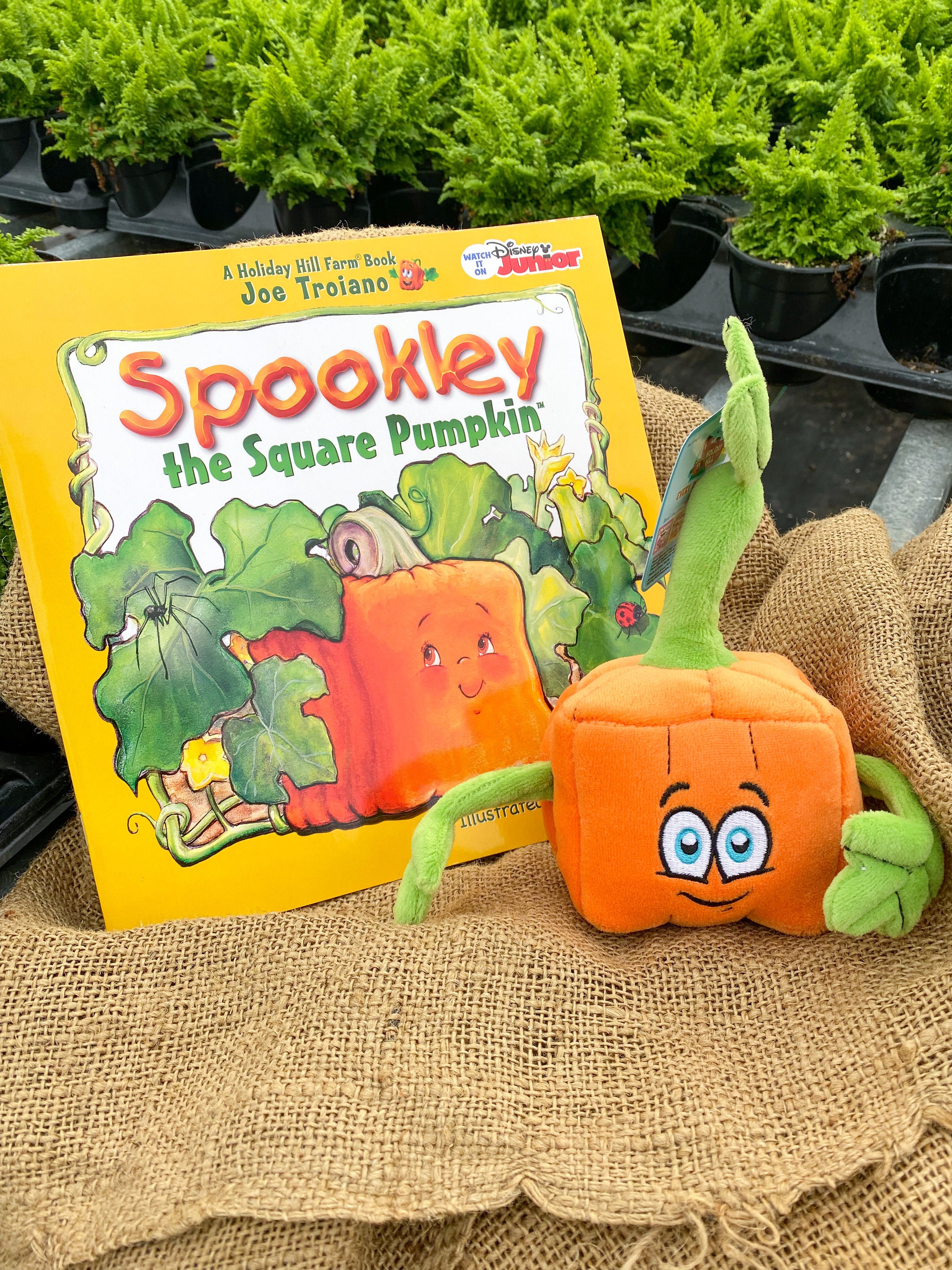 Spookley the square pumpkin plush 2025